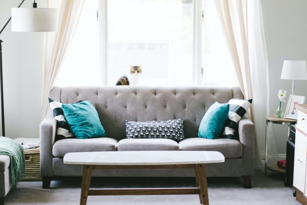home-organizer-oklahoma-city living room in Oklahoma city
